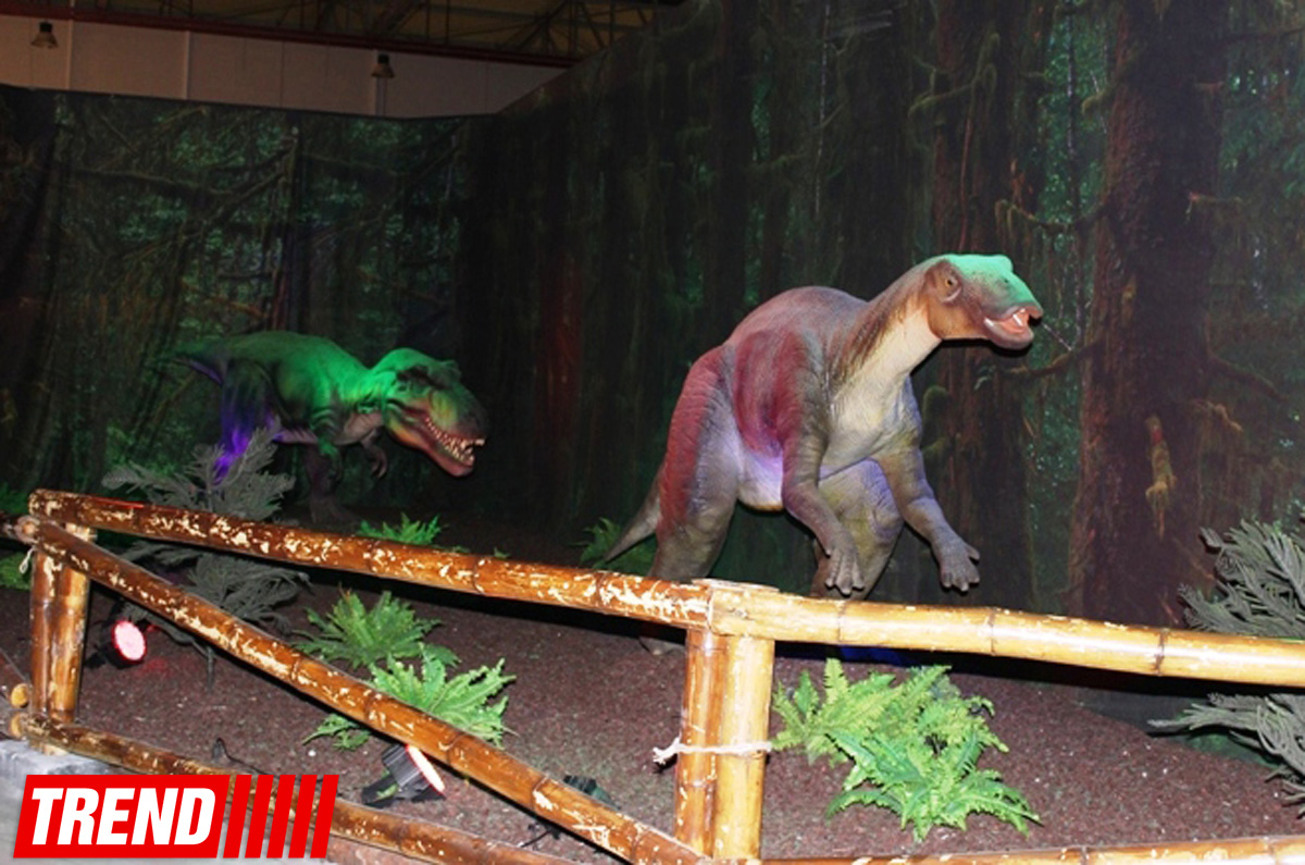 Bakıda möhtəşəm "Dinozavrlar şousu" açılıb - ulduzlar, uşaq və valideynlərin sevinci (FOTO)