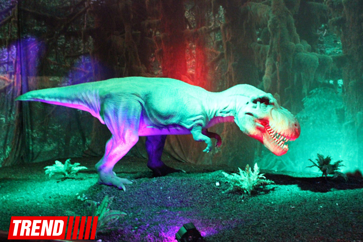 Bakıda möhtəşəm "Dinozavrlar şousu" açılıb - ulduzlar, uşaq və valideynlərin sevinci (FOTO)