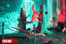 Bakıda möhtəşəm "Dinozavrlar şousu" açılıb - ulduzlar, uşaq və valideynlərin sevinci (FOTO)