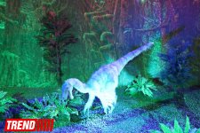 Bakıda möhtəşəm "Dinozavrlar şousu" açılıb - ulduzlar, uşaq və valideynlərin sevinci (FOTO)
