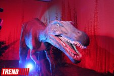 Bakıda möhtəşəm "Dinozavrlar şousu" açılıb - ulduzlar, uşaq və valideynlərin sevinci (FOTO)