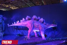 Bakıda möhtəşəm "Dinozavrlar şousu" açılıb - ulduzlar, uşaq və valideynlərin sevinci (FOTO)