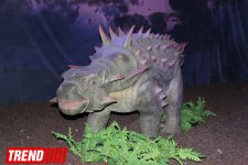 Bakıda möhtəşəm "Dinozavrlar şousu" açılıb - ulduzlar, uşaq və valideynlərin sevinci (FOTO)