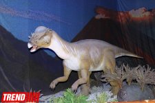 Bakıda möhtəşəm "Dinozavrlar şousu" açılıb - ulduzlar, uşaq və valideynlərin sevinci (FOTO)