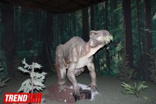 Bakıda möhtəşəm "Dinozavrlar şousu" açılıb - ulduzlar, uşaq və valideynlərin sevinci (FOTO)