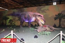 Bakıda möhtəşəm "Dinozavrlar şousu" açılıb - ulduzlar, uşaq və valideynlərin sevinci (FOTO)