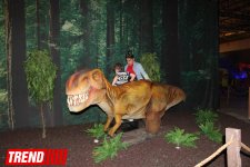Bakıda möhtəşəm "Dinozavrlar şousu" açılıb - ulduzlar, uşaq və valideynlərin sevinci (FOTO)