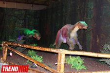Bakıda möhtəşəm "Dinozavrlar şousu" açılıb - ulduzlar, uşaq və valideynlərin sevinci (FOTO)