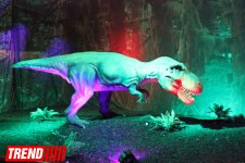 Bakıda möhtəşəm "Dinozavrlar şousu" açılıb - ulduzlar, uşaq və valideynlərin sevinci (FOTO)