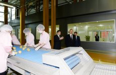 Prezident İlham Əliyev Gilan Qida Şəhərciyi ilə tanış olub (FOTO)