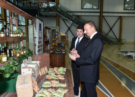 Prezident İlham Əliyev Gilan Qida Şəhərciyi ilə tanış olub (FOTO)