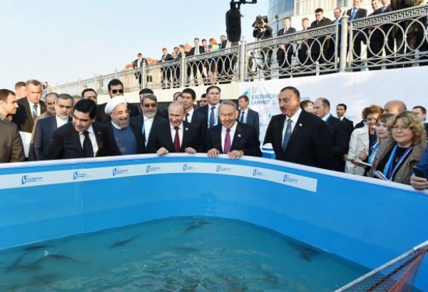 Xəzəryanı ölkələrin prezidentləri Volqa çayına balıq buraxıblar (FOTO)