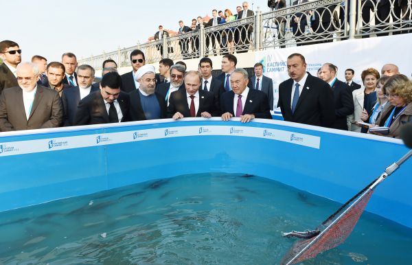 Xəzəryanı ölkələrin prezidentləri Volqa çayına balıq buraxıblar (FOTO)