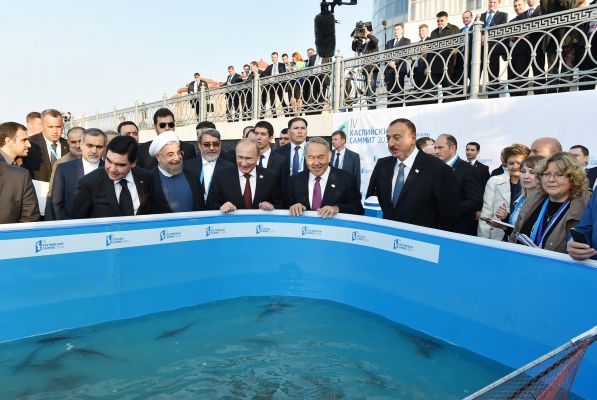Xəzəryanı ölkələrin prezidentləri Volqa çayına balıq buraxıblar (FOTO)