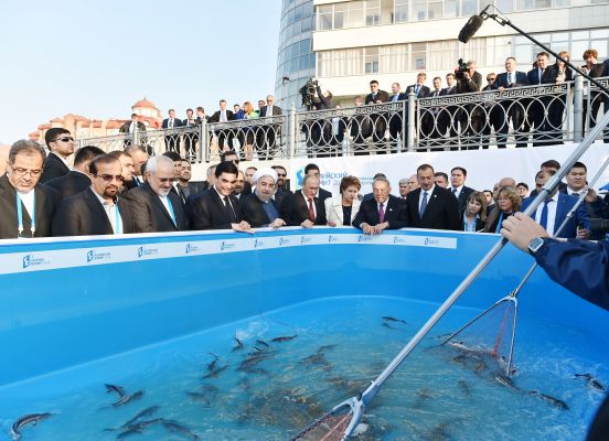Xəzəryanı ölkələrin prezidentləri Volqa çayına balıq buraxıblar (FOTO)