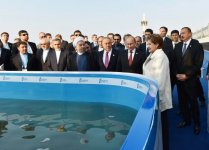 Xəzəryanı ölkələrin prezidentləri Volqa çayına balıq buraxıblar (FOTO)