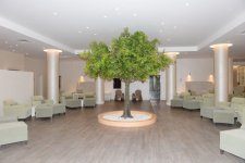 İlham Əliyev: Naftalan dünya miqyasında turizm mərkəzinə çevrilir (FOTO)