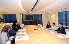 Mehriban Əliyeva İranın ailə və qadın məsələləri üzrə vitse-prezidenti ilə görüşüb (FOTO)