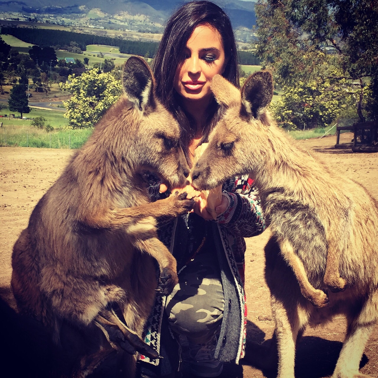 Leyla Əliyeva Avstraliyanın milli parklarında ətraf mühit və biomüxtəlifliyin qorunması işləri ilə tanış olub (FOTO)