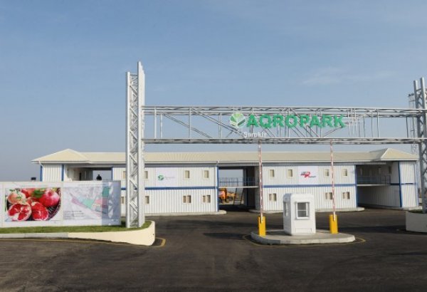 Azərbaycanda 3 yeni aqropark yaradılıb