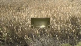 YARAT azərbaycanlı və əcnəbi müəlliflərin işlərindən təşkil olunmuş eksperimental video-proqram təqdim edir (FOTO)