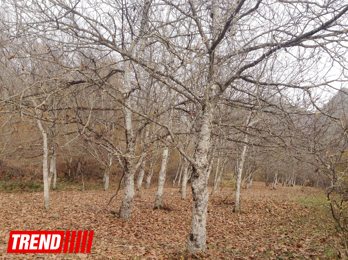 Sirli Azərbaycan: "Qırxqız" qəsri (FOTO)