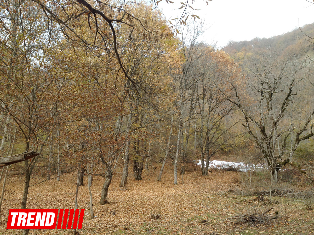Sirli Azərbaycan: "Qırxqız" qəsri (FOTO)