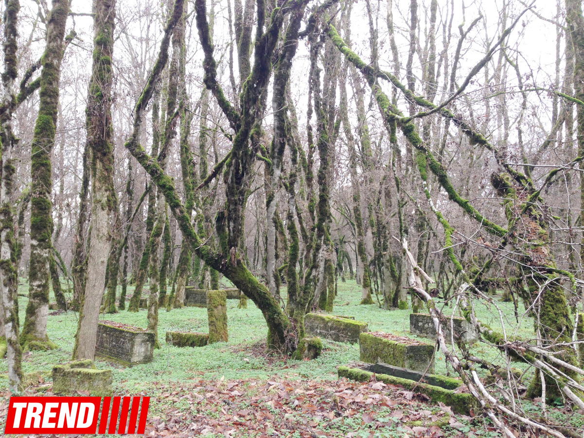 Qəbələnin tarixi abidələri (FOTO)