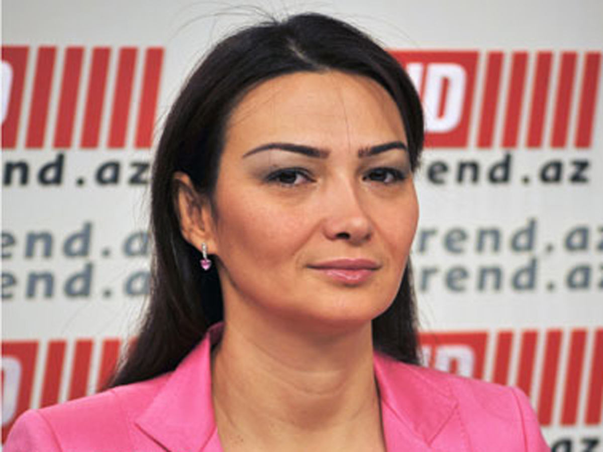 Azərbaycanlı deputat AŞ PA-nı azərbaycanlı girovların buraxılması üçün Ermənistana təzyiq etməyə çağırıb