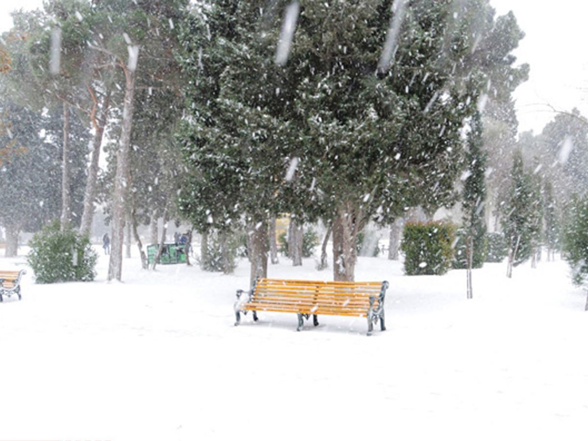 Azərbaycan sinoptiklərindən hava müjdəsi: temperatur yüksələcək, yağıntılar kəsəcək (ƏLAVƏ OLUNUB)