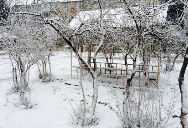 Qərb bölgəsində güclü qar yağır