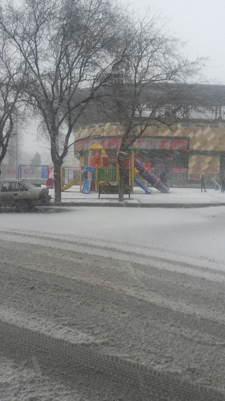 Bakının ağ örpəyi (FOTO)