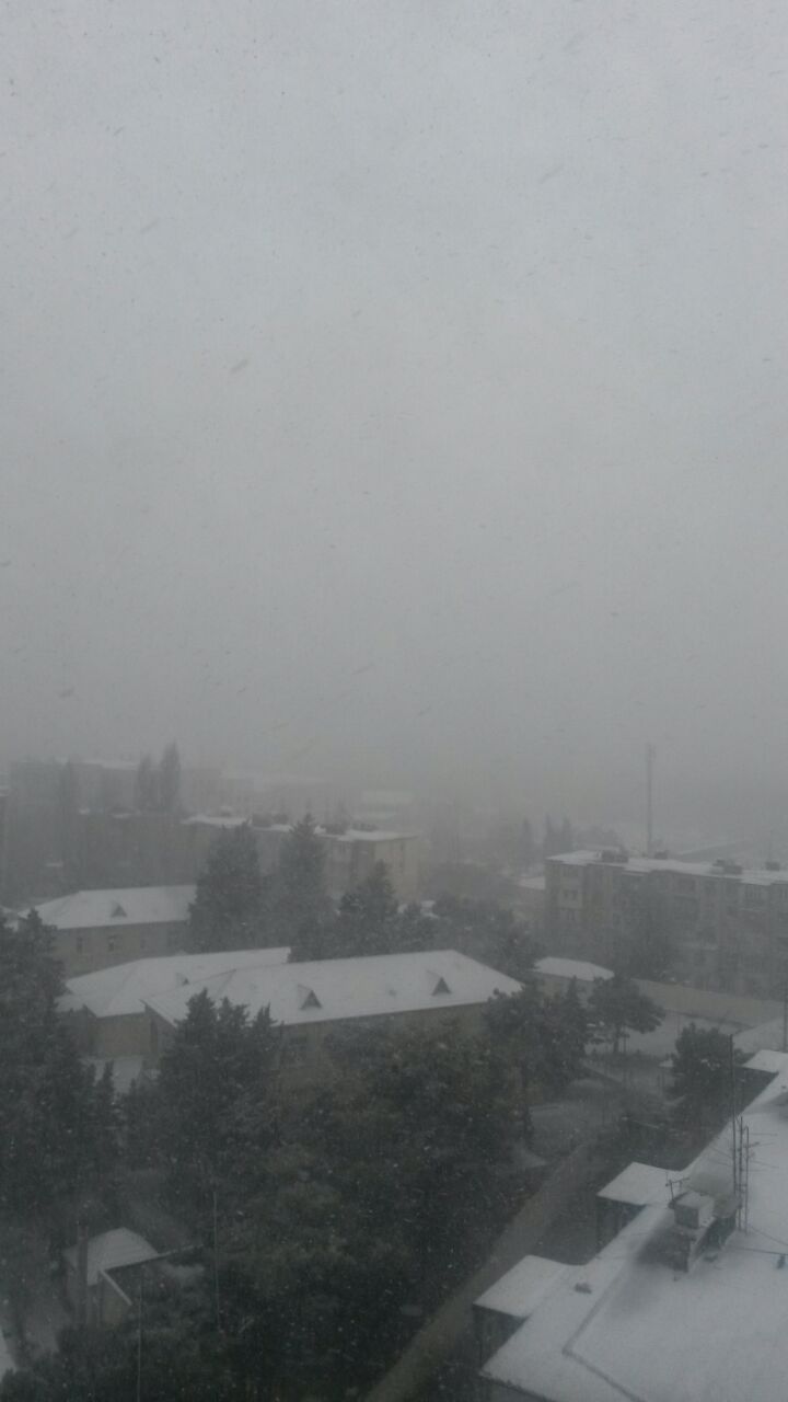 Bakının ağ örpəyi (FOTO)