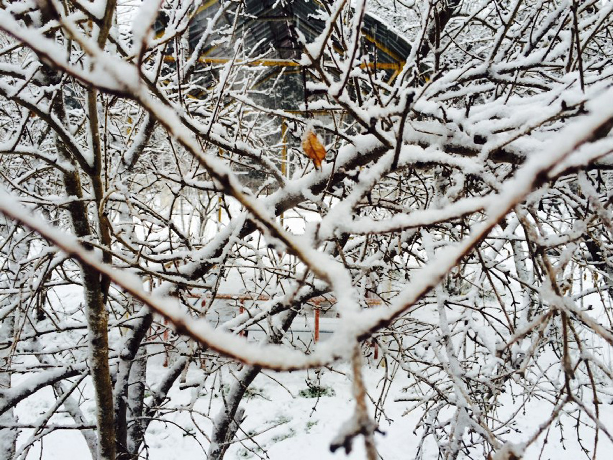 Anomal, yoxsa normal hava?