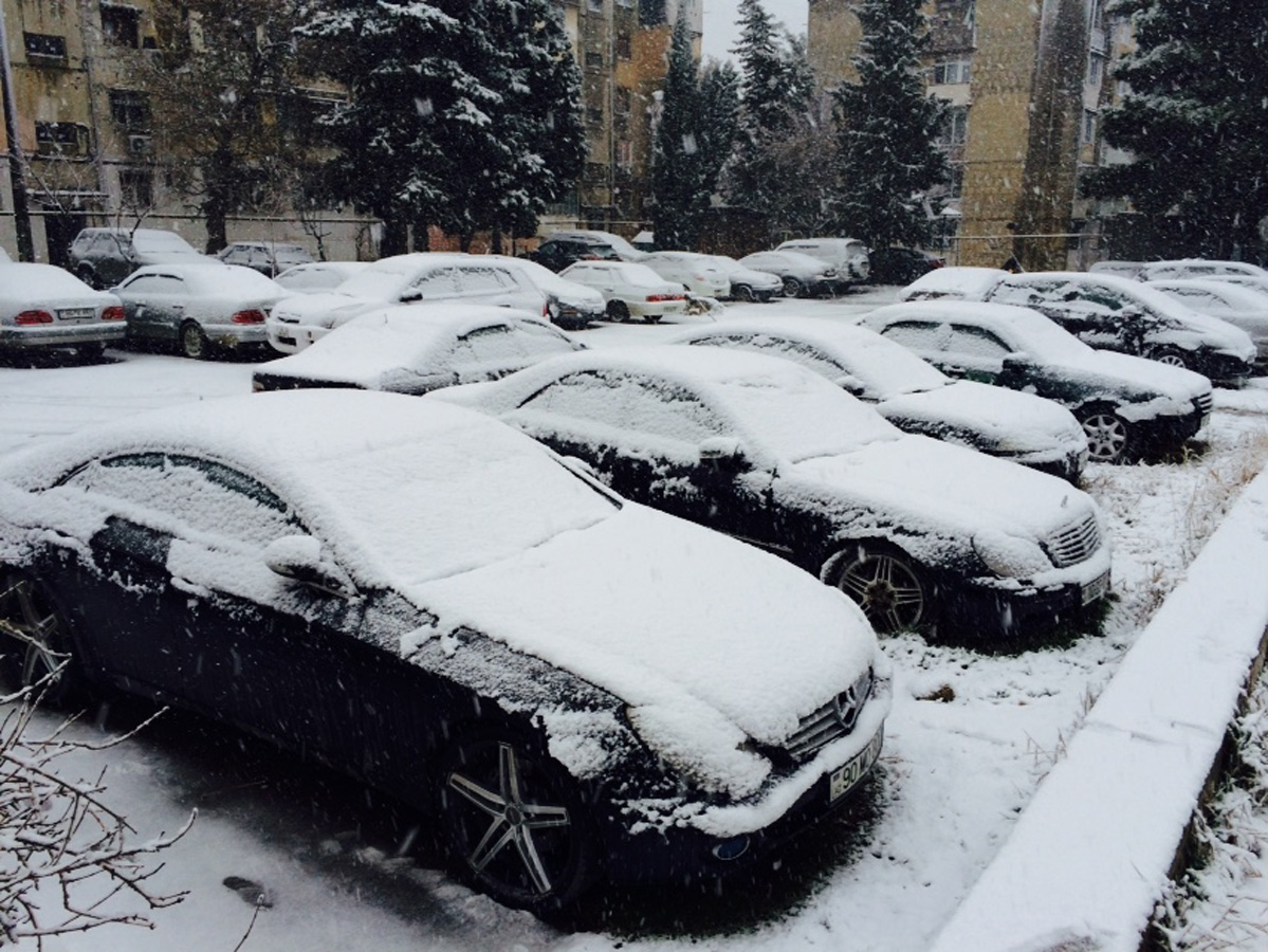 Bakının ağ örpəyi (FOTO)