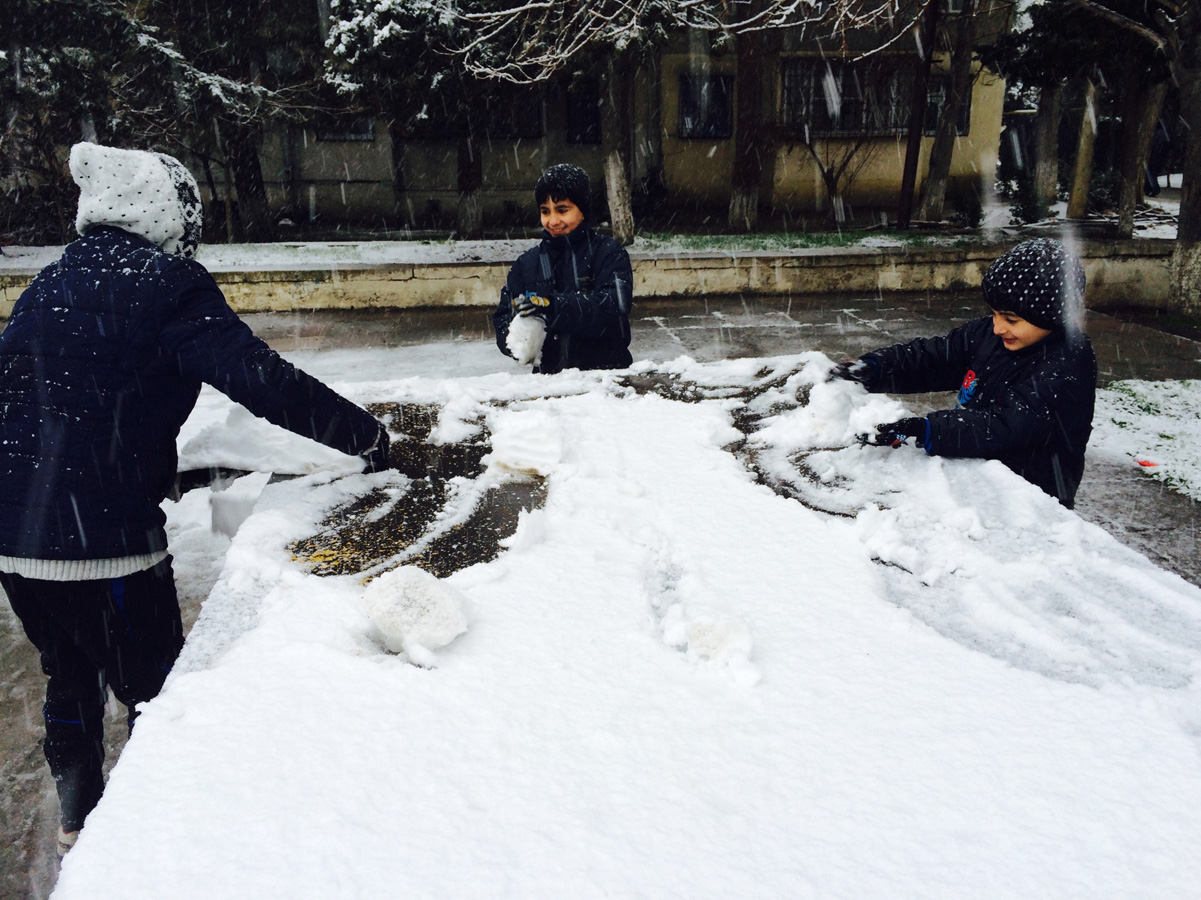 Bakının ağ örpəyi (FOTO)