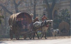 Bakıda "Əli və Nino" filminin çəkilişlərinə başlanılıb (FOTO)