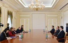 Prezident İlham Əliyev AŞ PA Monitorinq Komitəsinin həmməruzəçisini qəbul edib (FOTO)