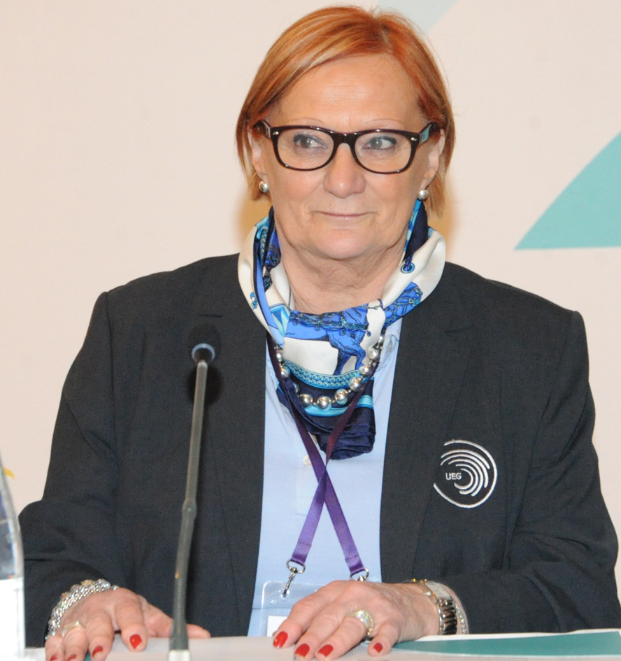 Fərid Qayıbov: Gimnastika növləri üzrə birgə açıq Azərbaycan çempionatı Avropa Oyunları üçün test xarakterlidir (FOTO) (ƏLAVƏ OLUNUB)