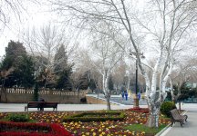 Azərbaycanda 8 Mart - Beynəlxalq Qadınlar Günü qeyd olunur (FOTO)