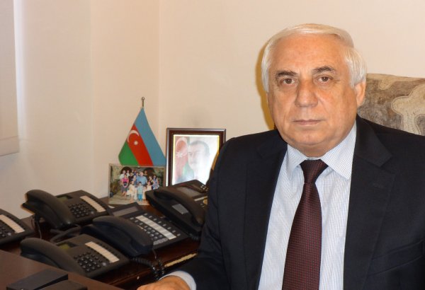 Milli Məclisin komitə sədri: Prezident tapşırıq verib ki, 3 yaşa qədər uşaqlara müavinətin artırılması məsələsinə baxılsın