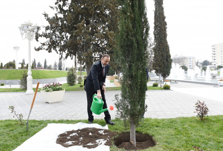 Bərdədə Heydər Əliyev adına park-bulvar istifadəyə verilib  (FOTO)