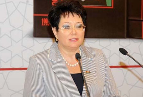 Elmira Axundova hökumət qarşısında təkliflərlə çıxış etdi