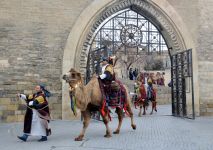 Bayram dəvələri Bakı yollarında (FOTO)