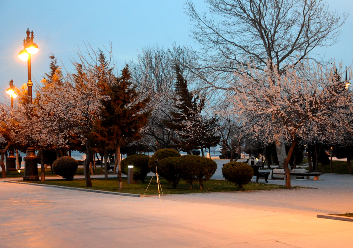 İlıq nəfəsli, yaşıl libaslı, duman örpəkli bahar (FOTO)