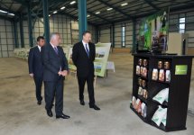 Prezident İlham Əliyev “Astaraçay” MMC-nin çay emalı fabrikində yaradılan şəraitlə tanış olub (FOTO)