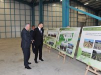 Prezident İlham Əliyev “Astaraçay” MMC-nin çay emalı fabrikində yaradılan şəraitlə tanış olub (FOTO)