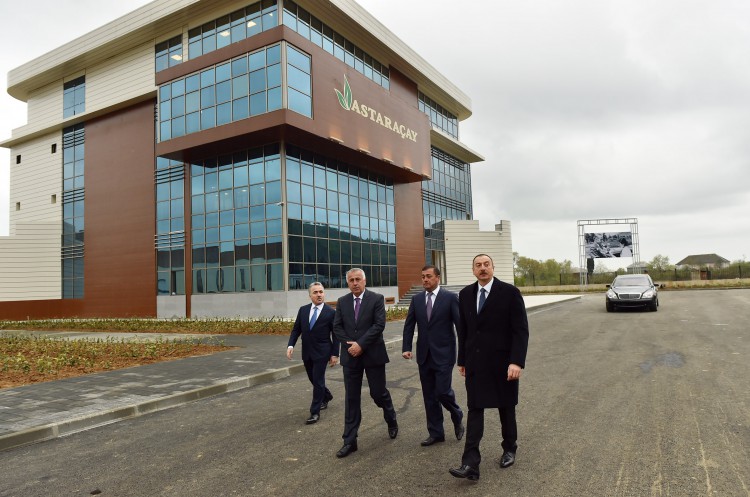 Prezident İlham Əliyev “Astaraçay” MMC-nin çay emalı fabrikində yaradılan şəraitlə tanış olub (FOTO)
