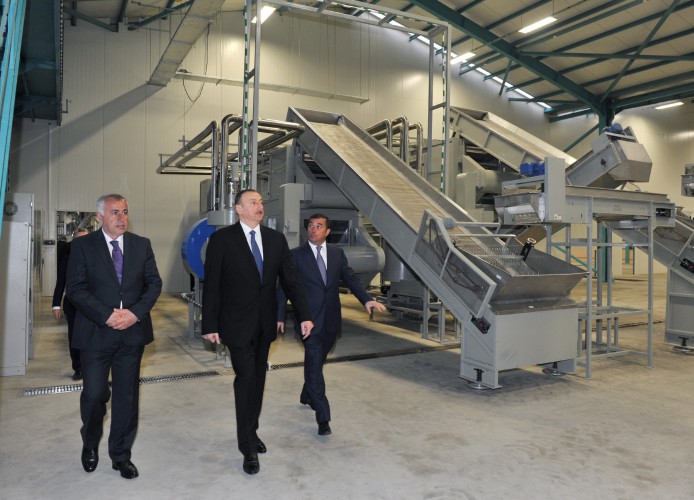 Prezident İlham Əliyev “Astaraçay” MMC-nin çay emalı fabrikində yaradılan şəraitlə tanış olub (FOTO)