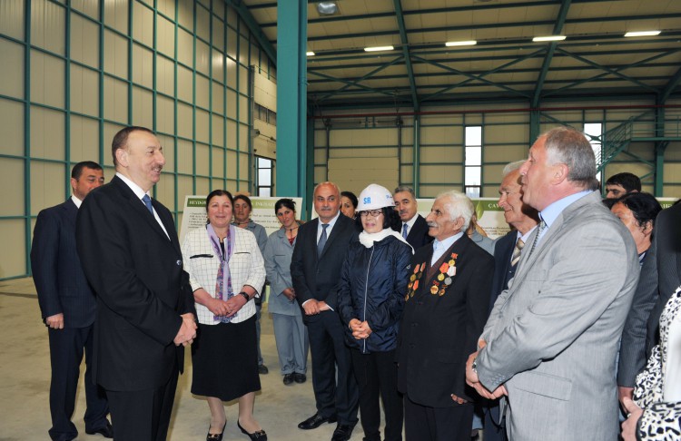 Prezident İlham Əliyev “Astaraçay” MMC-nin çay emalı fabrikində yaradılan şəraitlə tanış olub (FOTO)